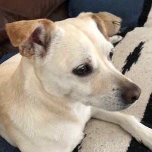 Meet your Posher, Stacy